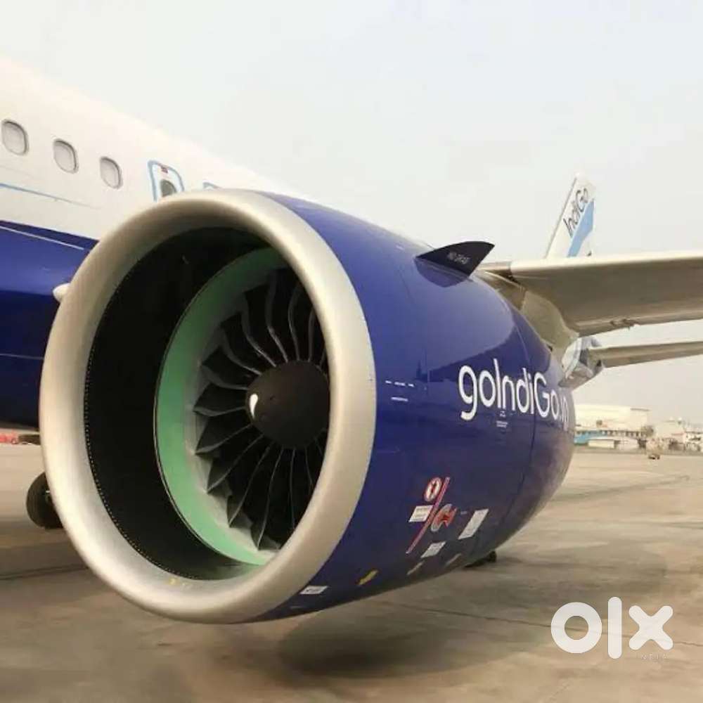 Hiring Male and female both required Airlines