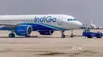 Jobs in indigo airlines apply fast