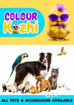 Pet shop (customer handling)