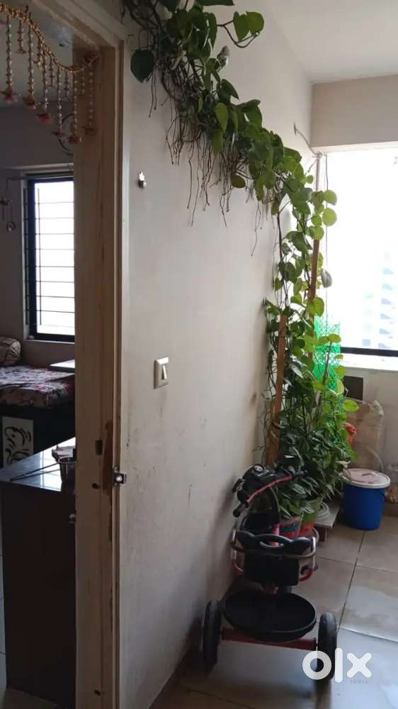 1BHK flat with 2 lift