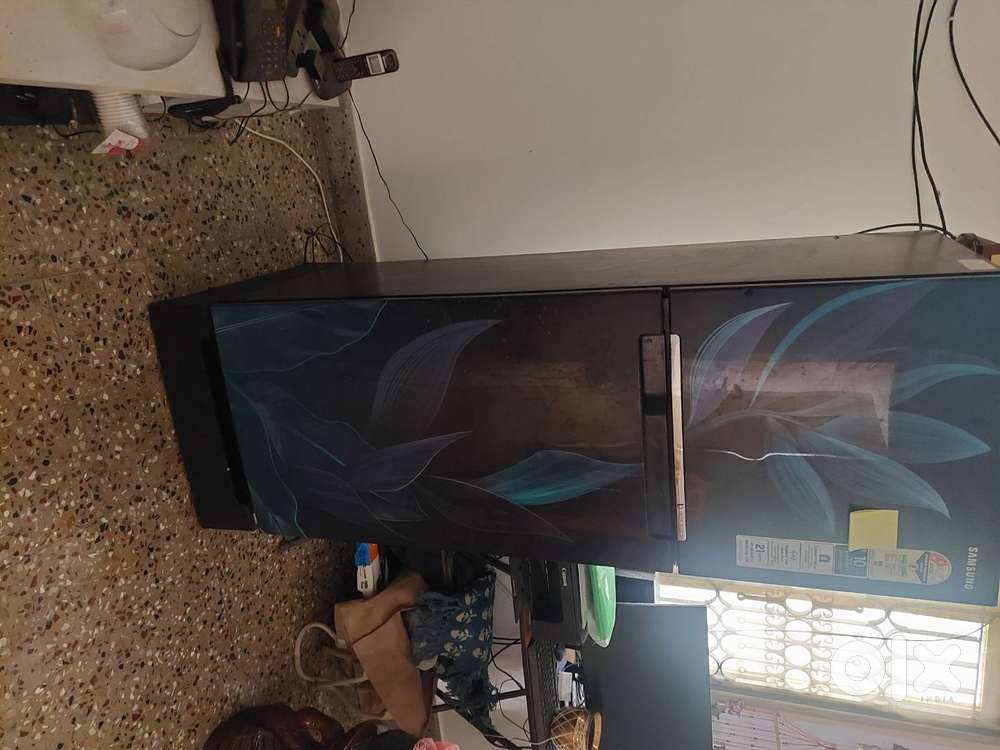 AC PG for Students in Anna Nagar East