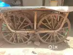 Lari sell Sell Rs 5000 ma