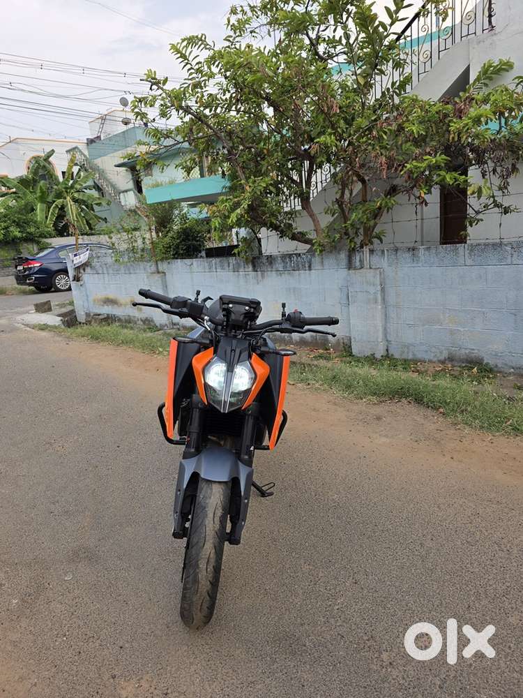 Duke 250 (2024)