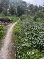 Plot sale dola