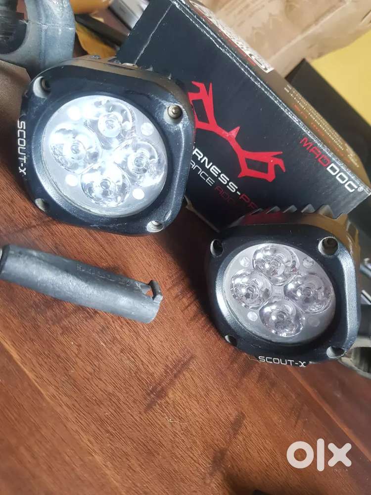 Maddog Scoat x light