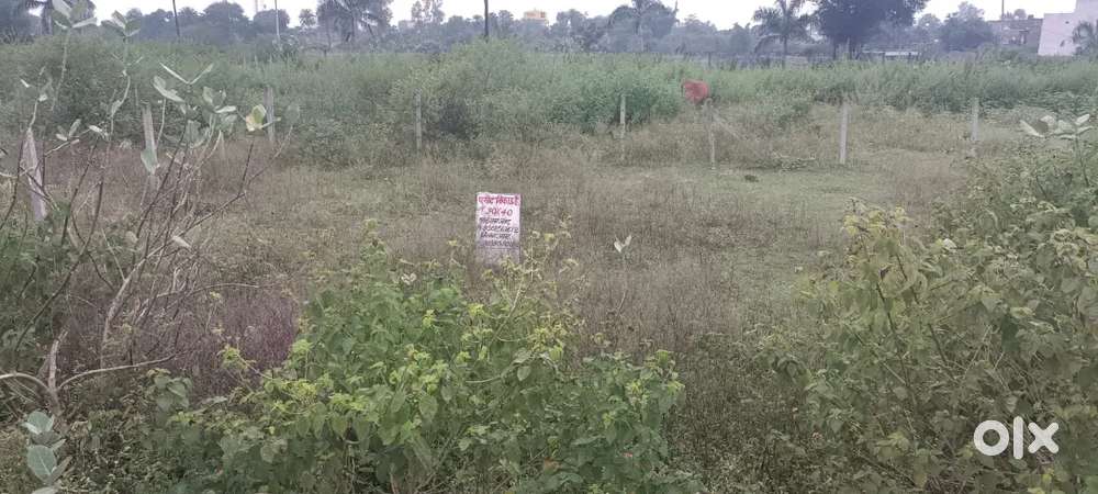 Balram jat