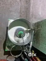 New commercial wet grinder