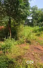 10 cent land selling for reasonable rate..At alakkad mathil
