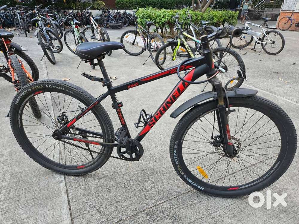 Schnell King Cycle (MTB)