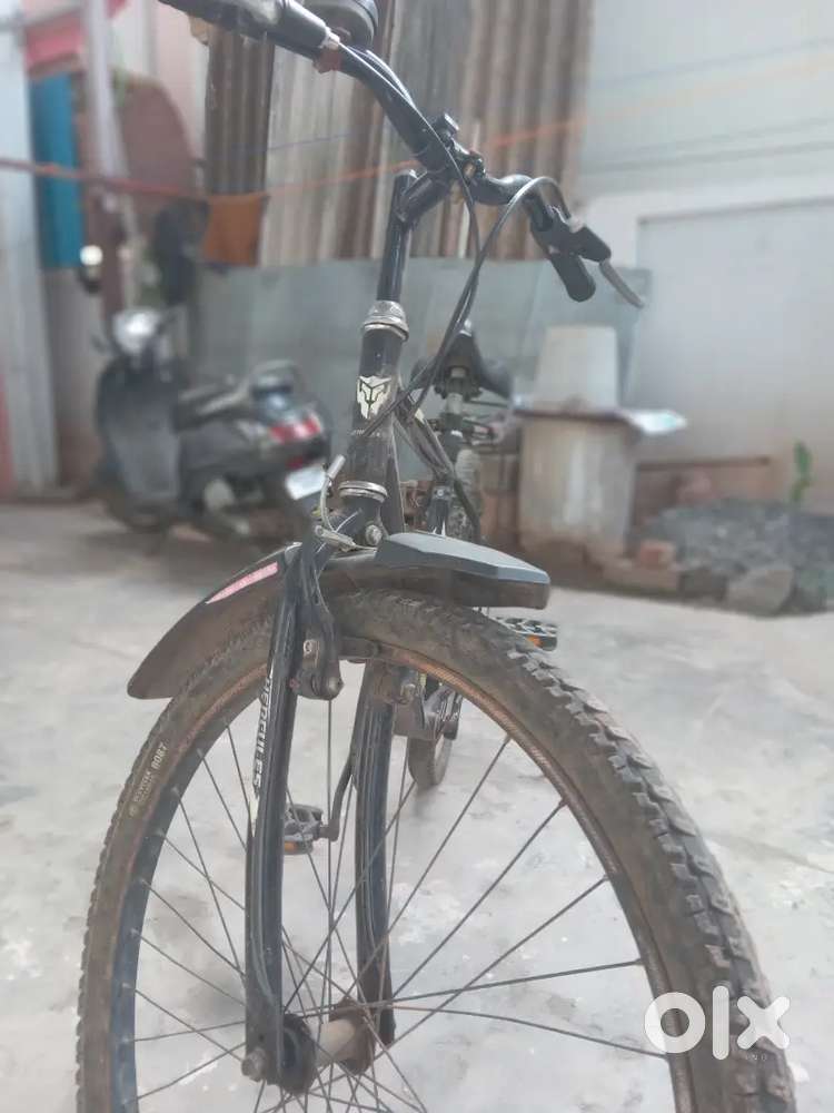 6 months old cycle