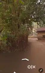 Suitable land for building a house.