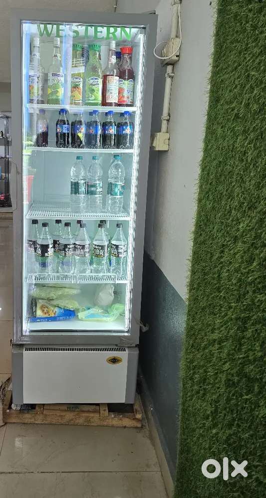 Western commercial glass top refrigerator (capacity:380lts)