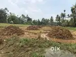 Converted land