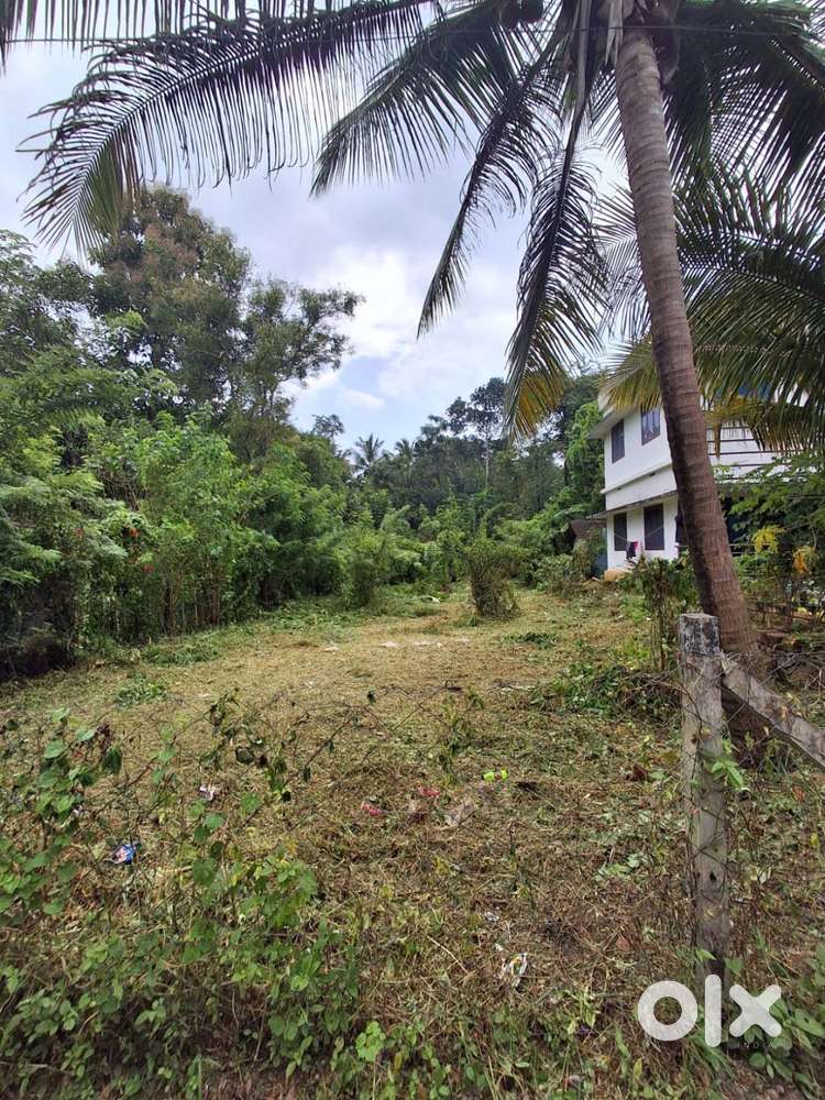 PLOT FOR SALE
