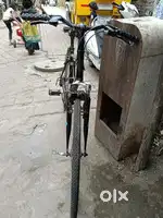 Best cycle
