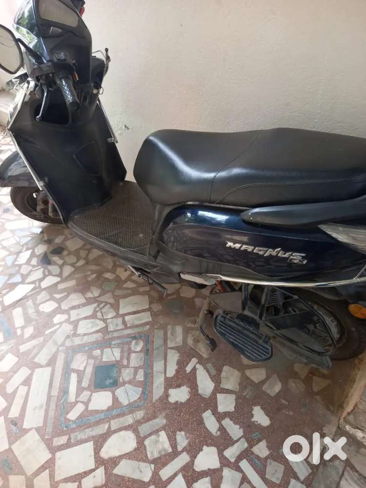 Magnus Ex Ampere 2023 Model for Sale