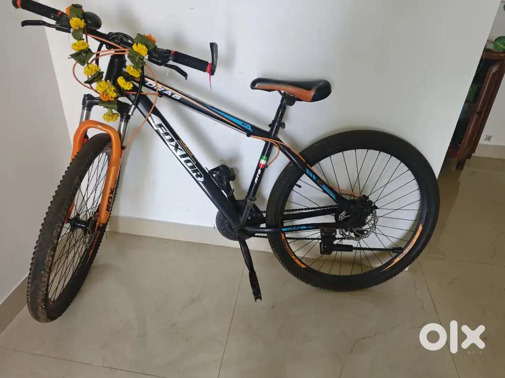 Mountain cycle