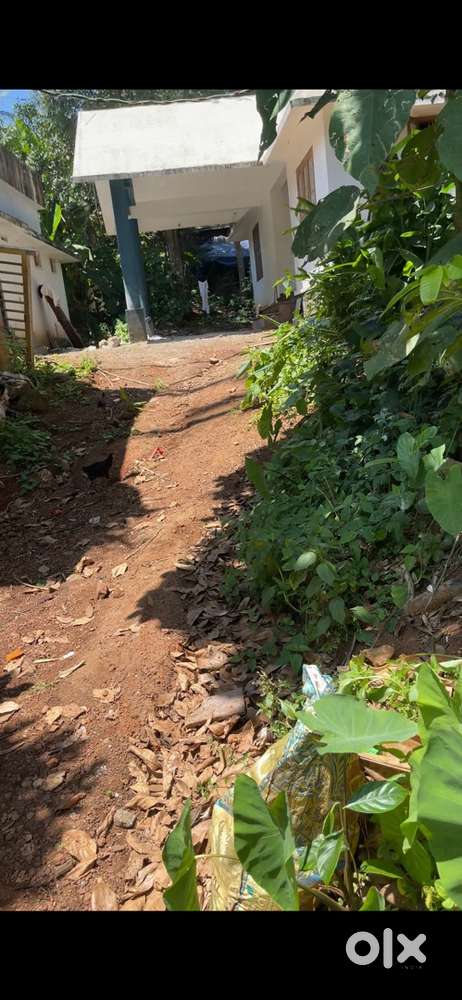 16 cent plot with 4 bedroom house