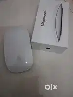 Apple  magicmouse