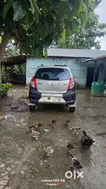 Maruti Suzuki Alto 800 2014