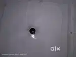 Ceiling fan