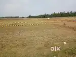 N/E corner dtcp plot for resale @ Rottavalasa 5KM to Amudhala valasa