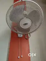 Fan polar sale