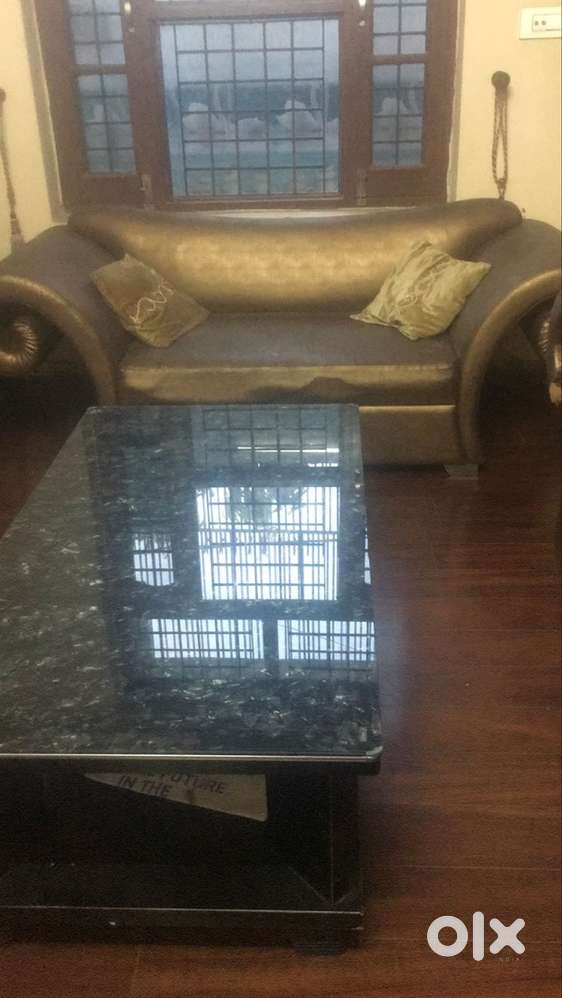 2 Sofa set 2 seater with center table