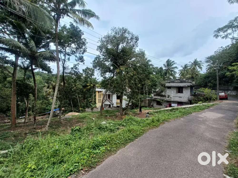 Residential Plot for Sale Chirayinkeezhu - Korani Road