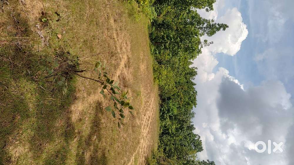 Price is for PER ACRE. Watershed electri pole alongside.