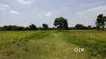 PLOTS FOR SALE PADAPPAI