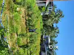 17 Cent Land for Sale@Ezhome Kottakkeel