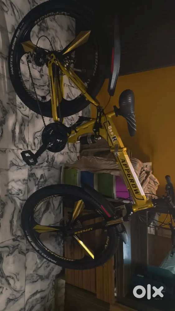 Appgrow alloy wheel foldable cycle Golden editon