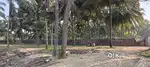 3 acres beach side land