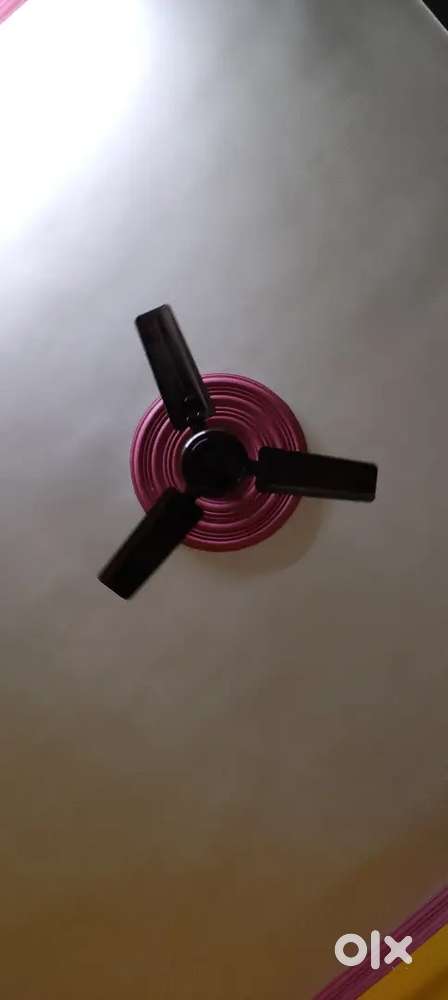 Ceiling fan for sale