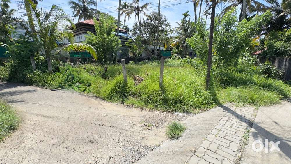 Land Sale in Narakkal