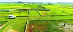 Buldozer se bachne ke liye jila panchayat project me plot le