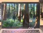 All type of MacBook display panels available with 90 days warranty.