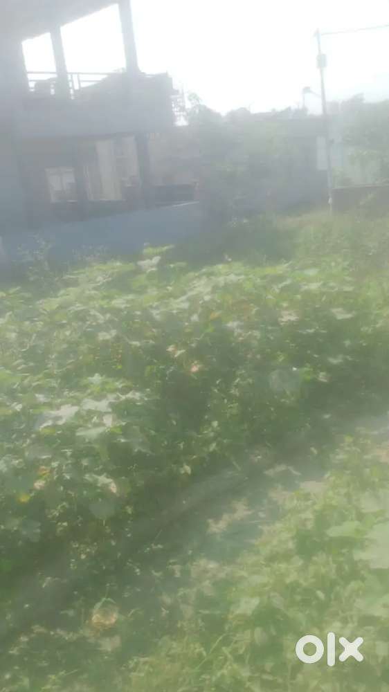 Tapovan enclave cross 14 plot sale urgent hai