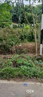Land sale near moran town highway