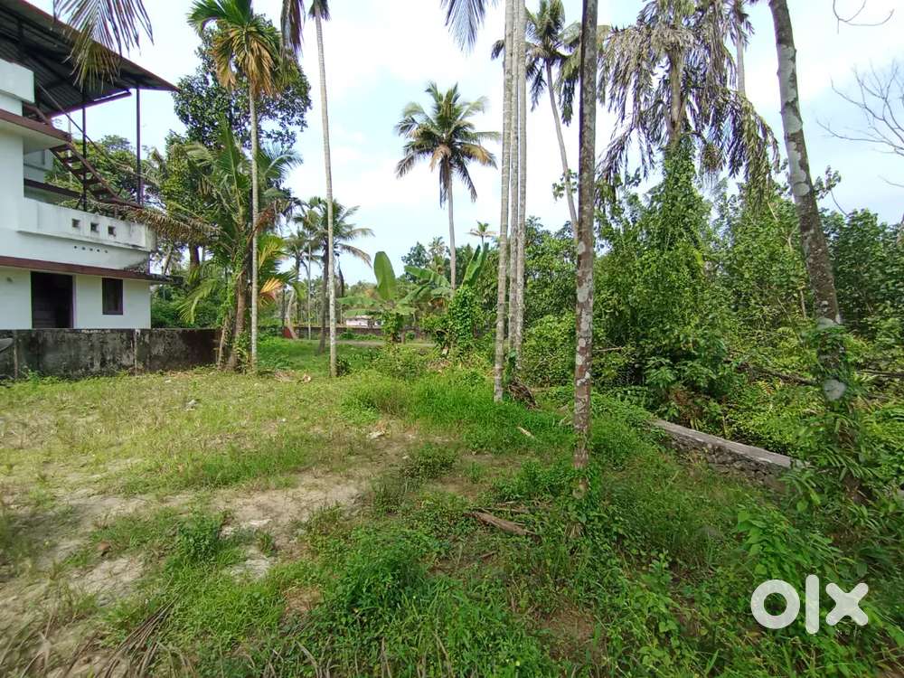 3.800 plot for sale Kochal maloth