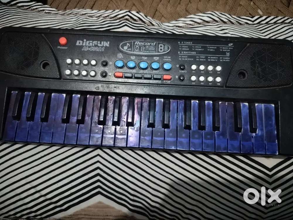 Musical instrument