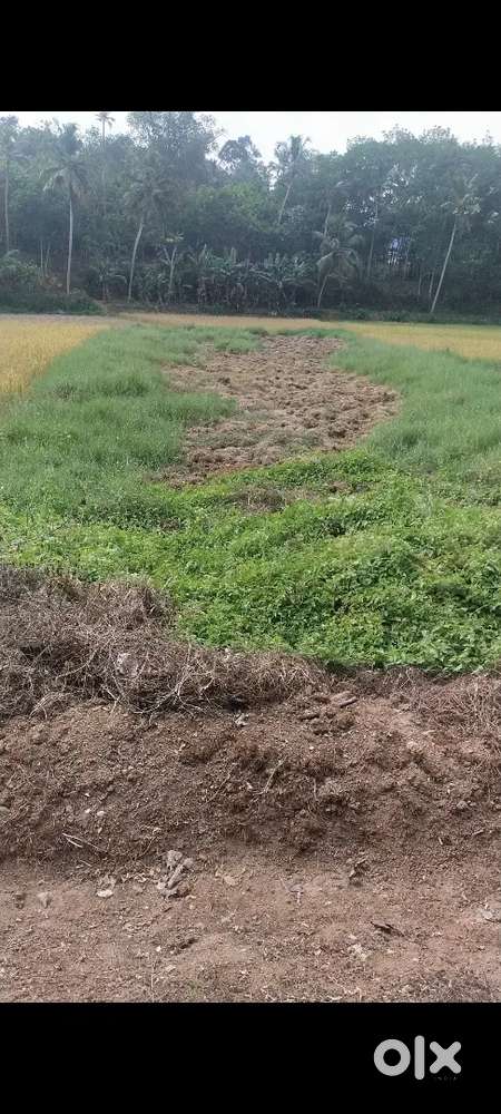 Cent / 17000 location karette