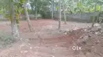 Property kariyam 6 cent Main road 50 mtr