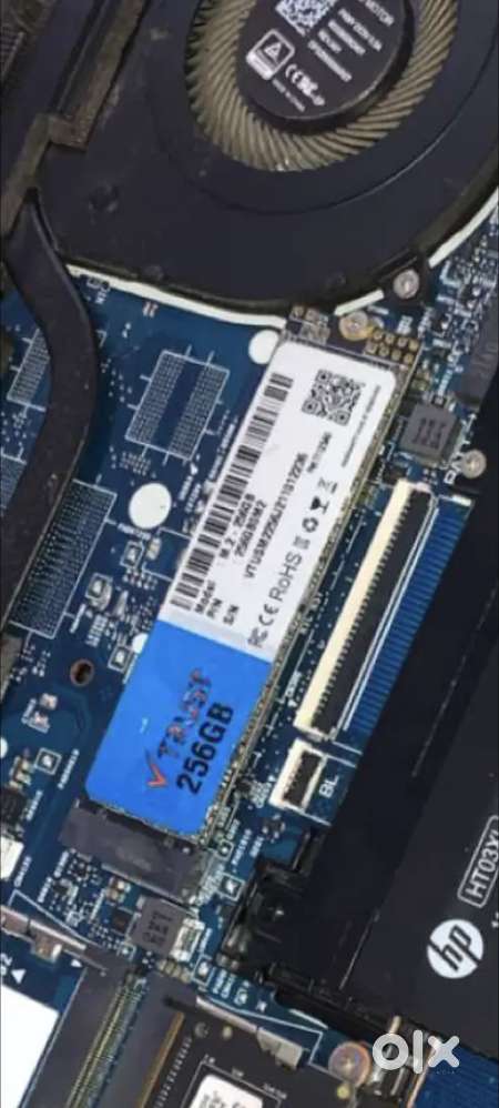 256GB M.2 SATA SSD