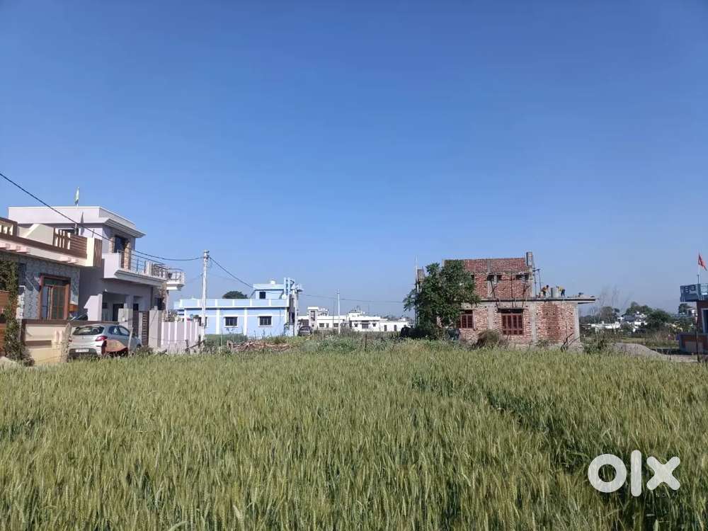 Owner sale plots for our land