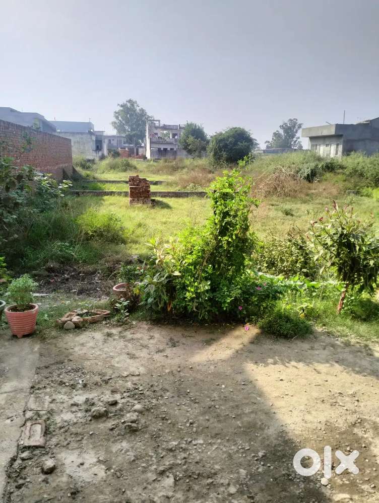 Plot in best location