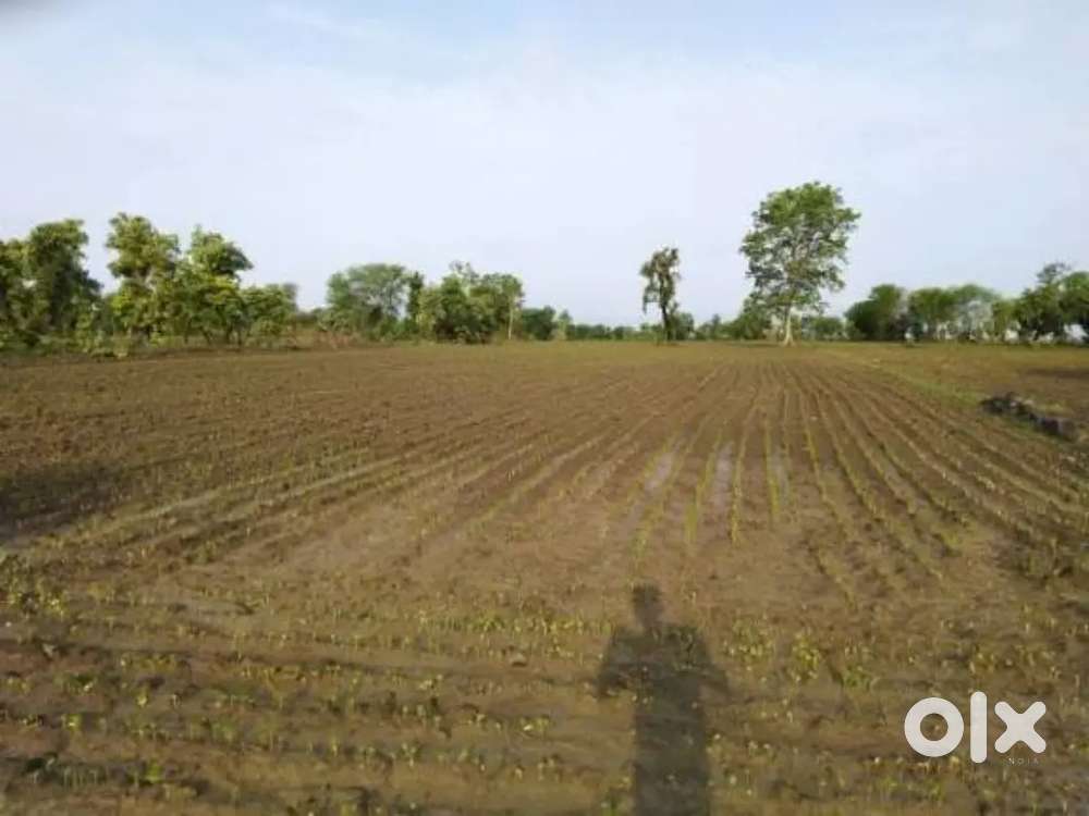 एक एकड़ जमीन बेचना है ग्राम सैगवाल में