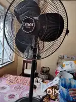 Cinni Toofani Stand Fan