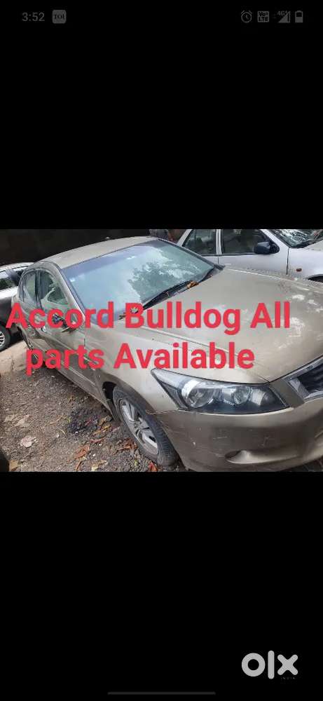 Honda Accord Bulldog All parts available